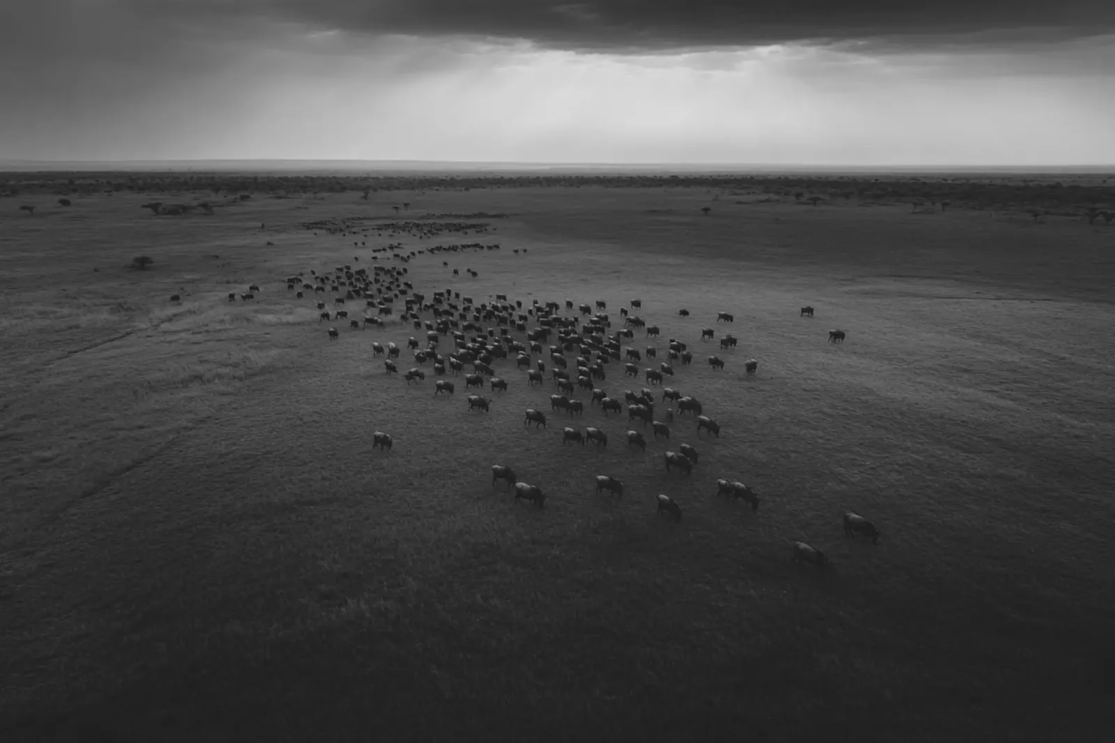 Del hombre que aprendió a no conocerse actualizando su perfil