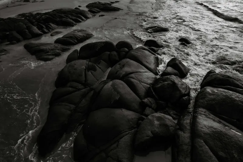 La muerte no llega tarde. Llegas tú sin haber vivido.